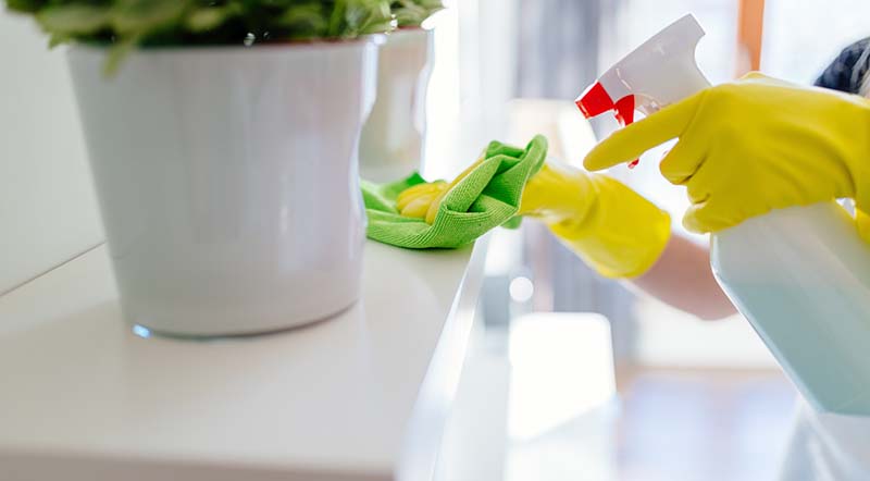 House Cleaning Services in Las Vegas, NV: Call Us to Book