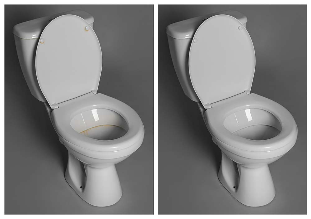 Clorox Under The Rim Toilet Bowl Brush, Gray