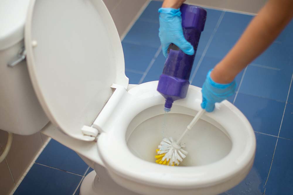 How to Prevent Pink Stains in Toilet Bowls | Serratia Marcescens